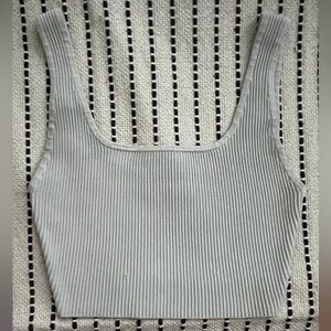 Babaton Matte Pearl Sculpt Knit Top Aritzia